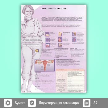 Плакат «Что такое менопауза?» (ЗОЖ-17, 1 лист, A2)